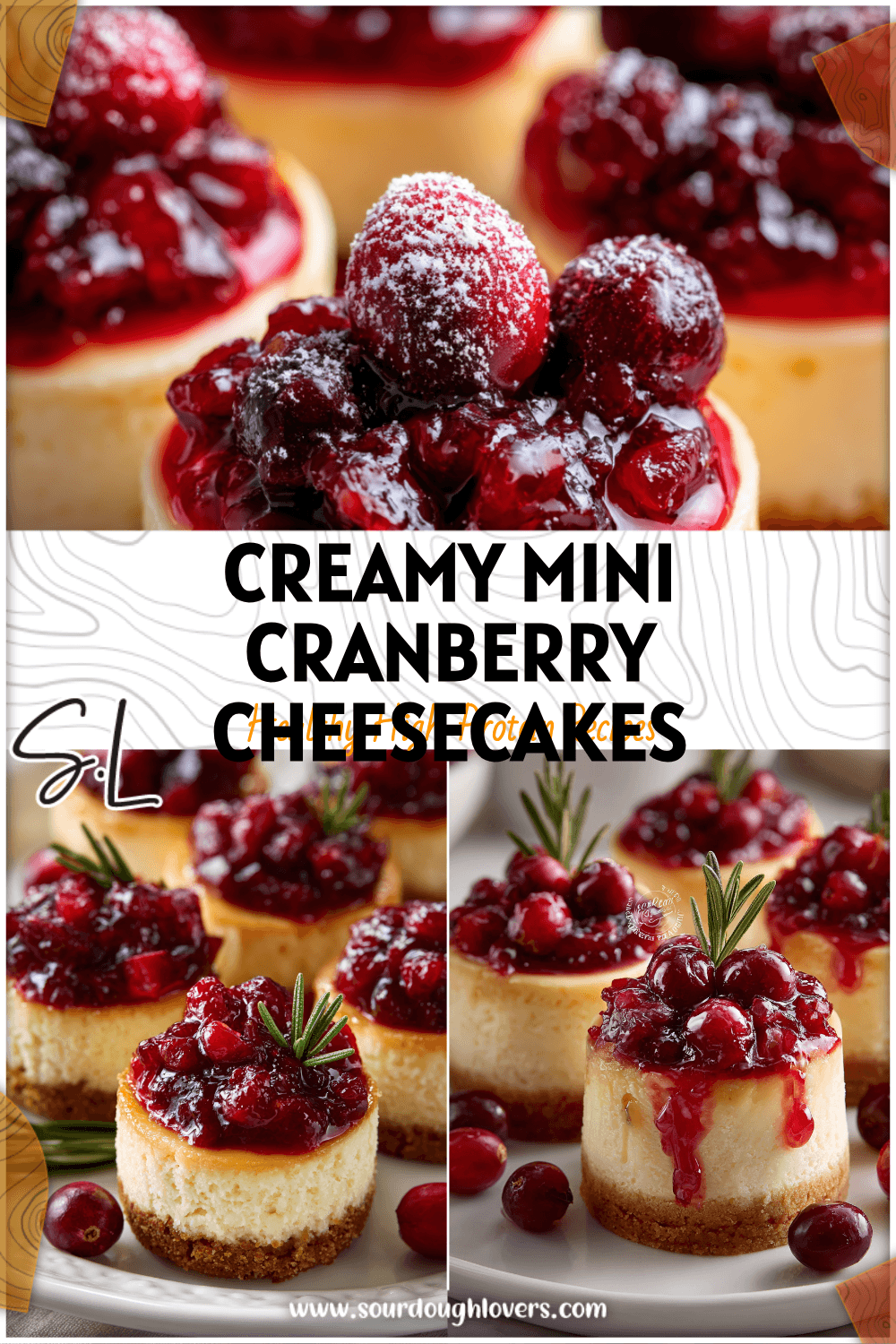 Mini cranberry cheesecakes with cranberry topping arranged on a white holiday plate. 26